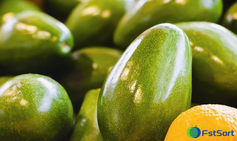 images/1664435399789Clasificadoras de aguacates dominicanas.jpg